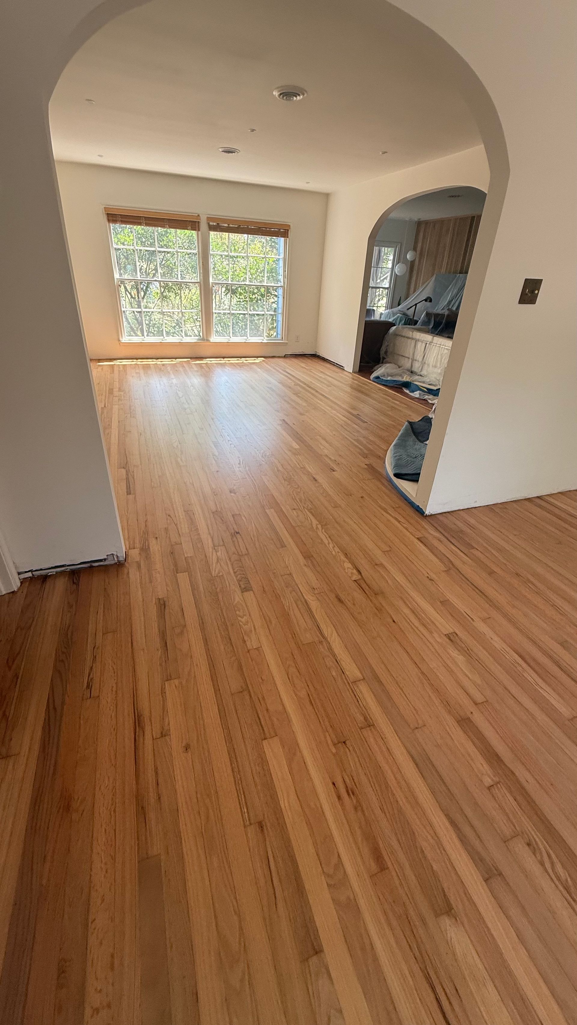 Wooden floors in a living room with arched doorways and large window overlooking trees.