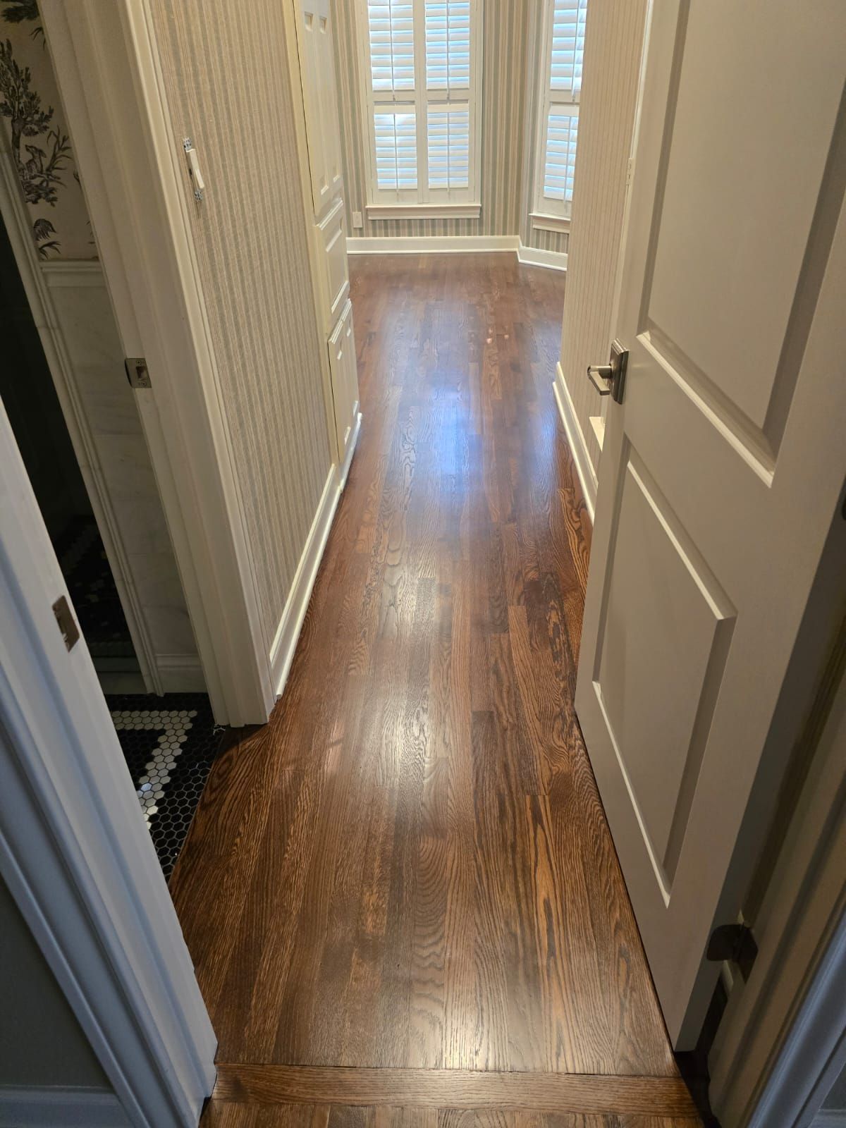 Hardwood floor hallway with white doors and windows with light streaming in.