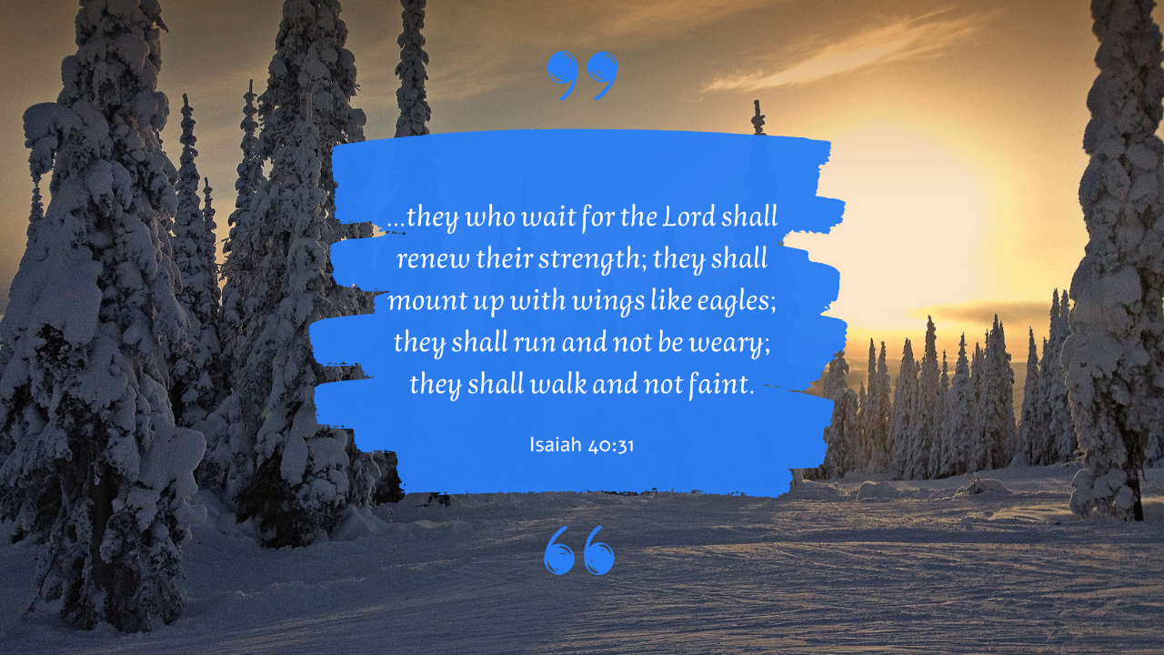 Renew your Strength God's Promise to You