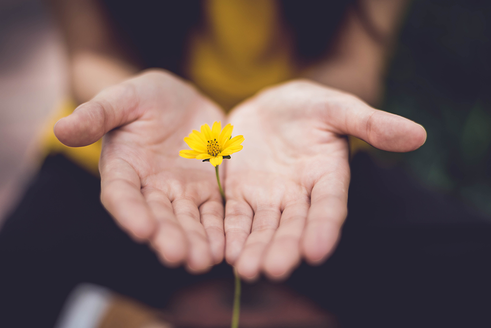 flower and hope