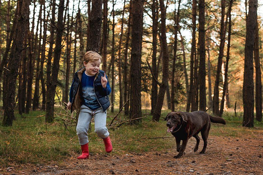 Baas en Beest Fotografie, huisdieren fotografie, huisdieren fotograaf, honden fotografie, honden fotograaf