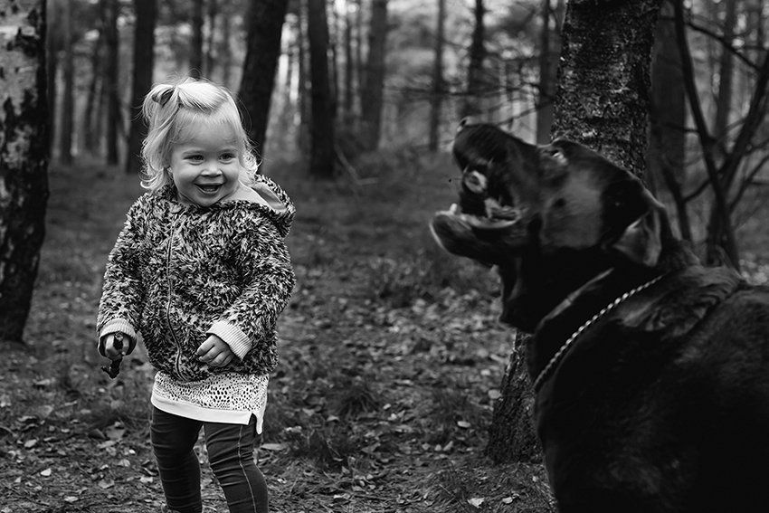 Baas en Beest Fotografie, huisdieren fotografie, huisdieren fotograaf, honden fotografie, honden fotograaf