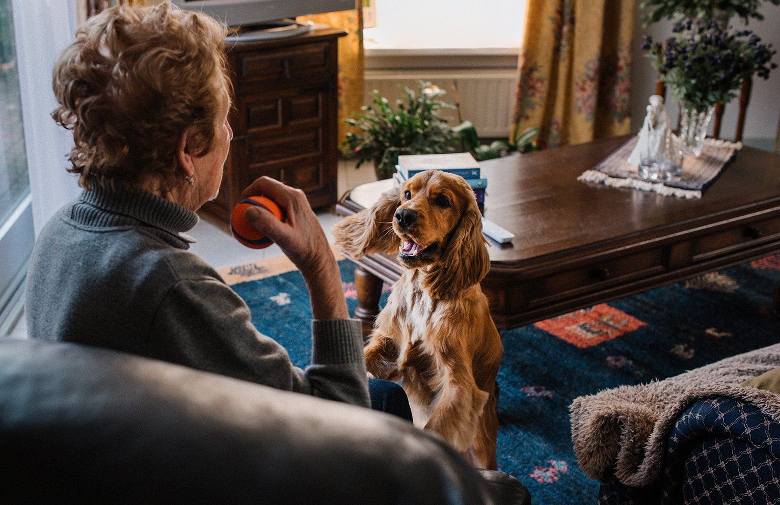 Baas en Beest Fotografie, huisdieren fotografie, huisdieren fotograaf, honden fotografie, honden fotograaf