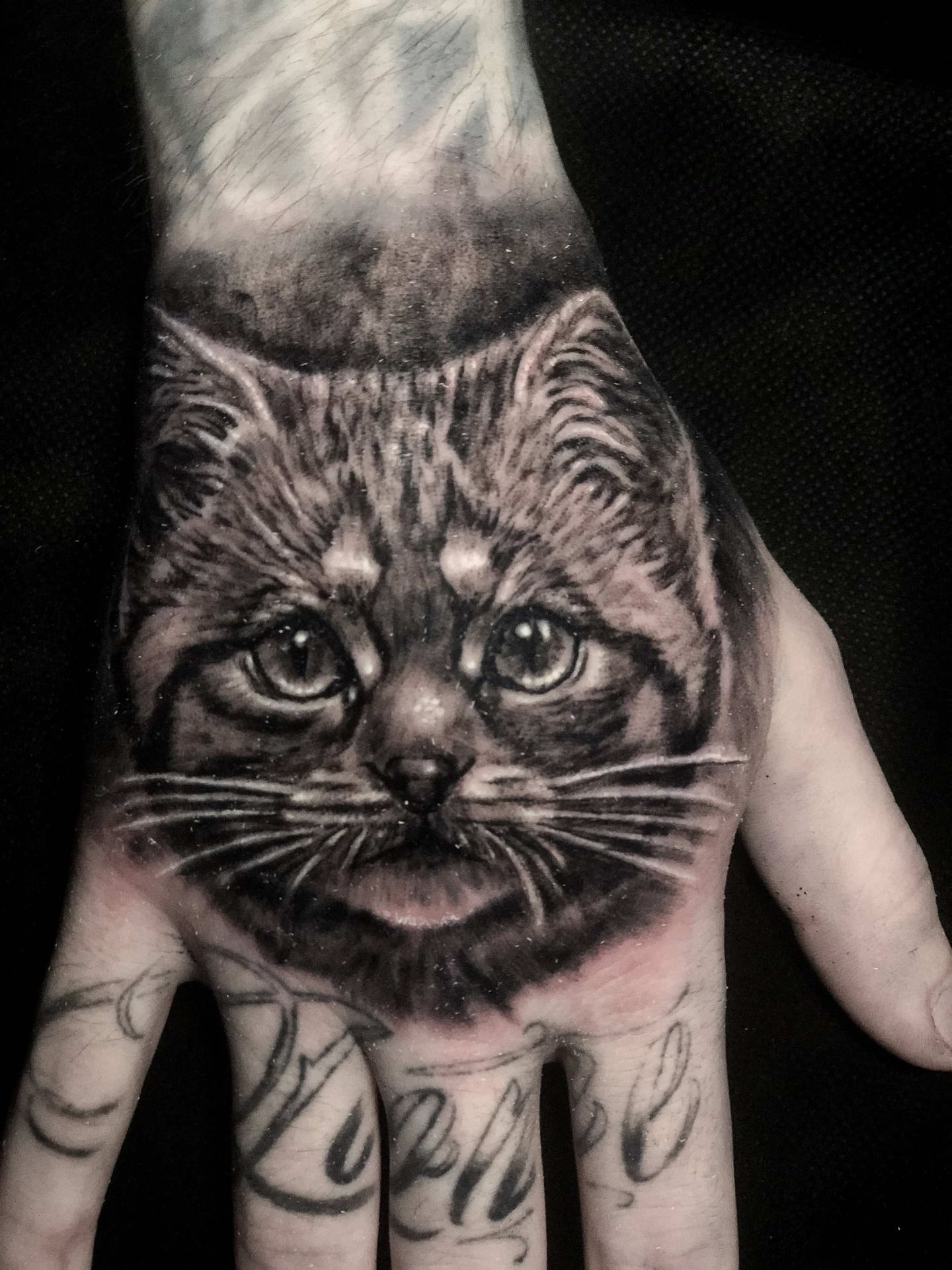 Black and gray cat face tattoo on hand; intricate details, expressive eyes, and writing on fingers.
