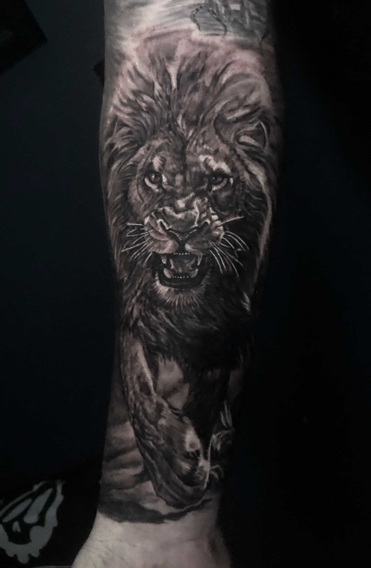 Black and white lion tattoo on an arm, with a snarling expression and walking forward.