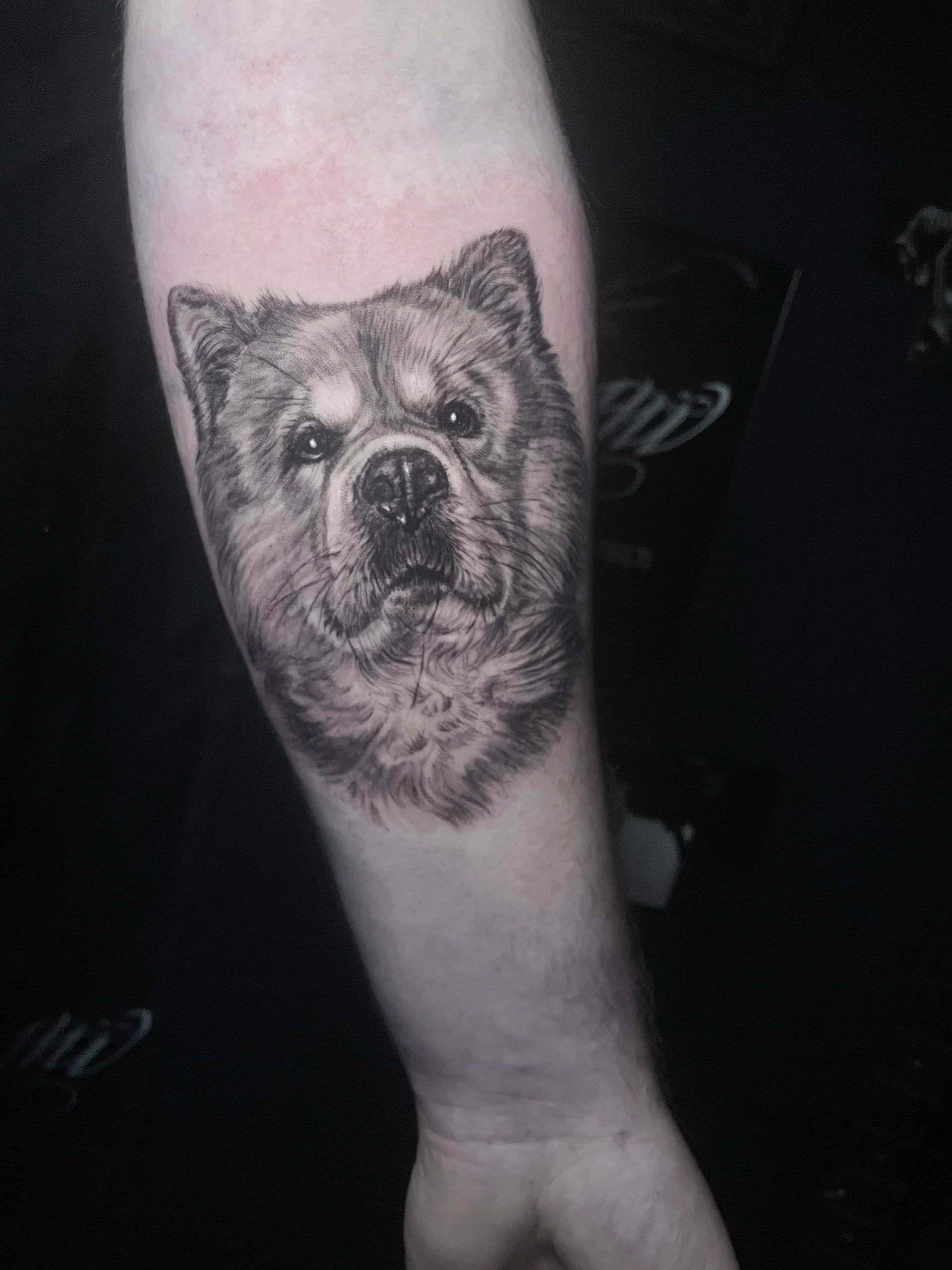 Tattoo of a Chow Chow dog's face on a person's forearm, in grayscale.