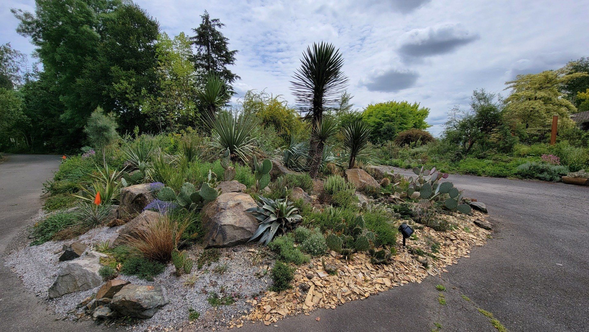 A rock garden with various green plants, including cacti, sits in a gravel and stone bed surrounded by a paved path.