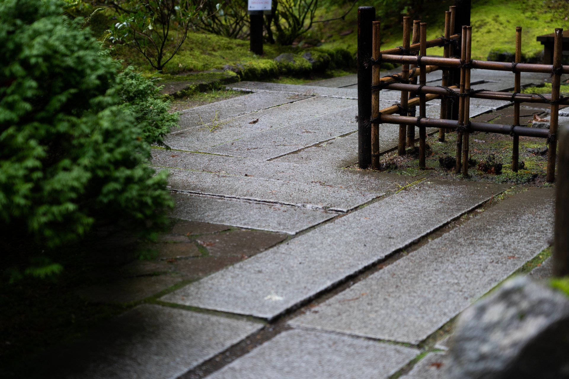 Stone pathway in a Japanese garden, wet from rain. 