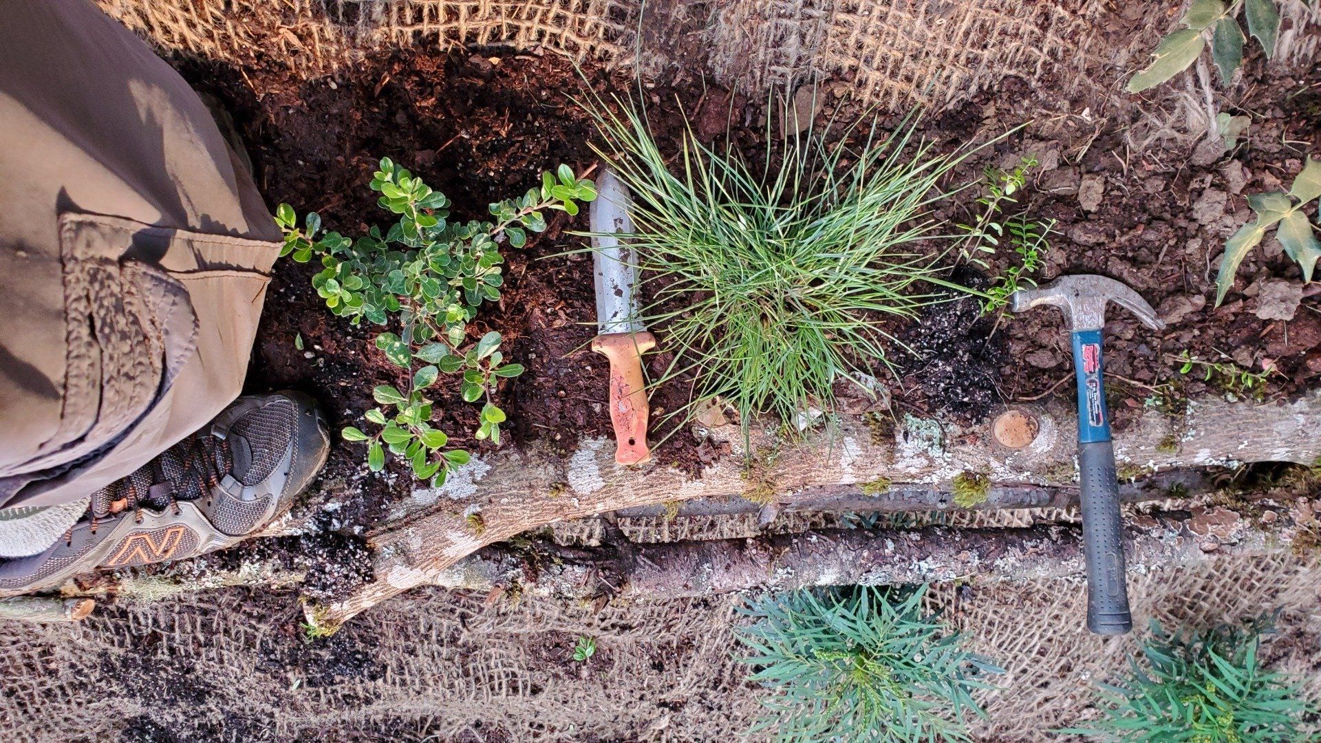 Gardener's view: a shovel, hammer, and plants sit in a brown dirt bed bordered by stones; a leg and shoe are also visible.