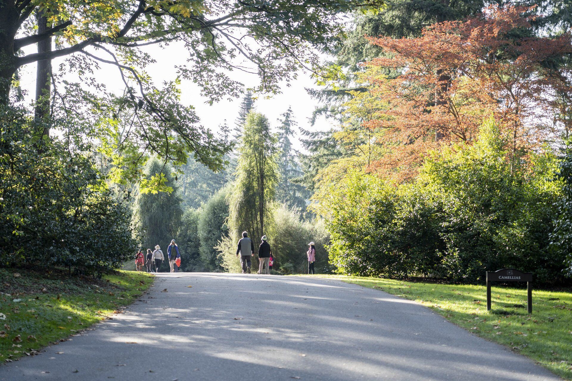 Asphalt path winds through a park, trees lining both sides, people strolling in the distance.