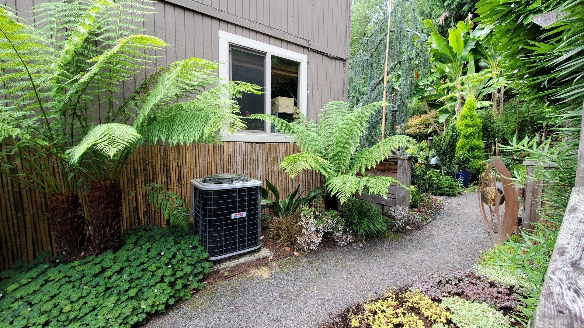 A gravel path winds past a building with a window, and lush ferns and other greenery. A dark AC unit is visible.