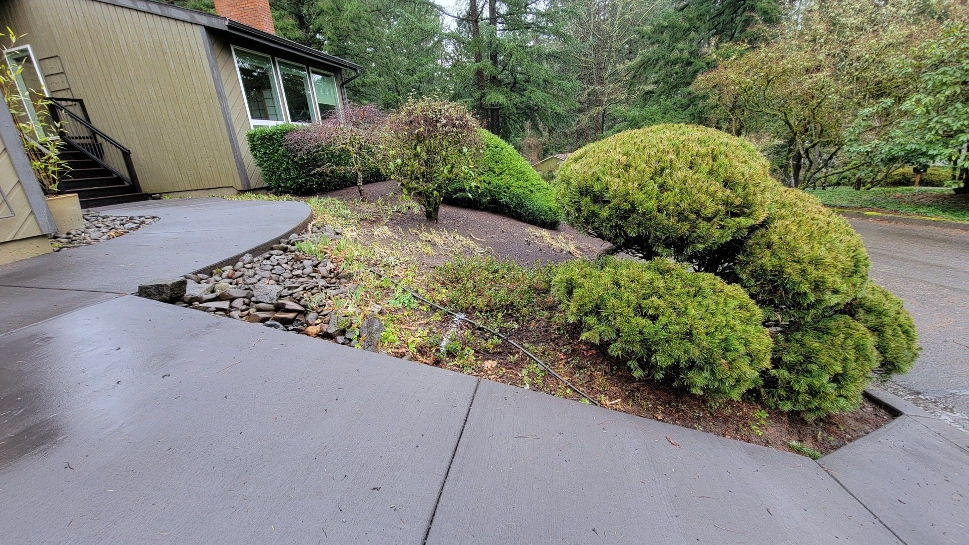 A residential driveway with a small landscaped bed.