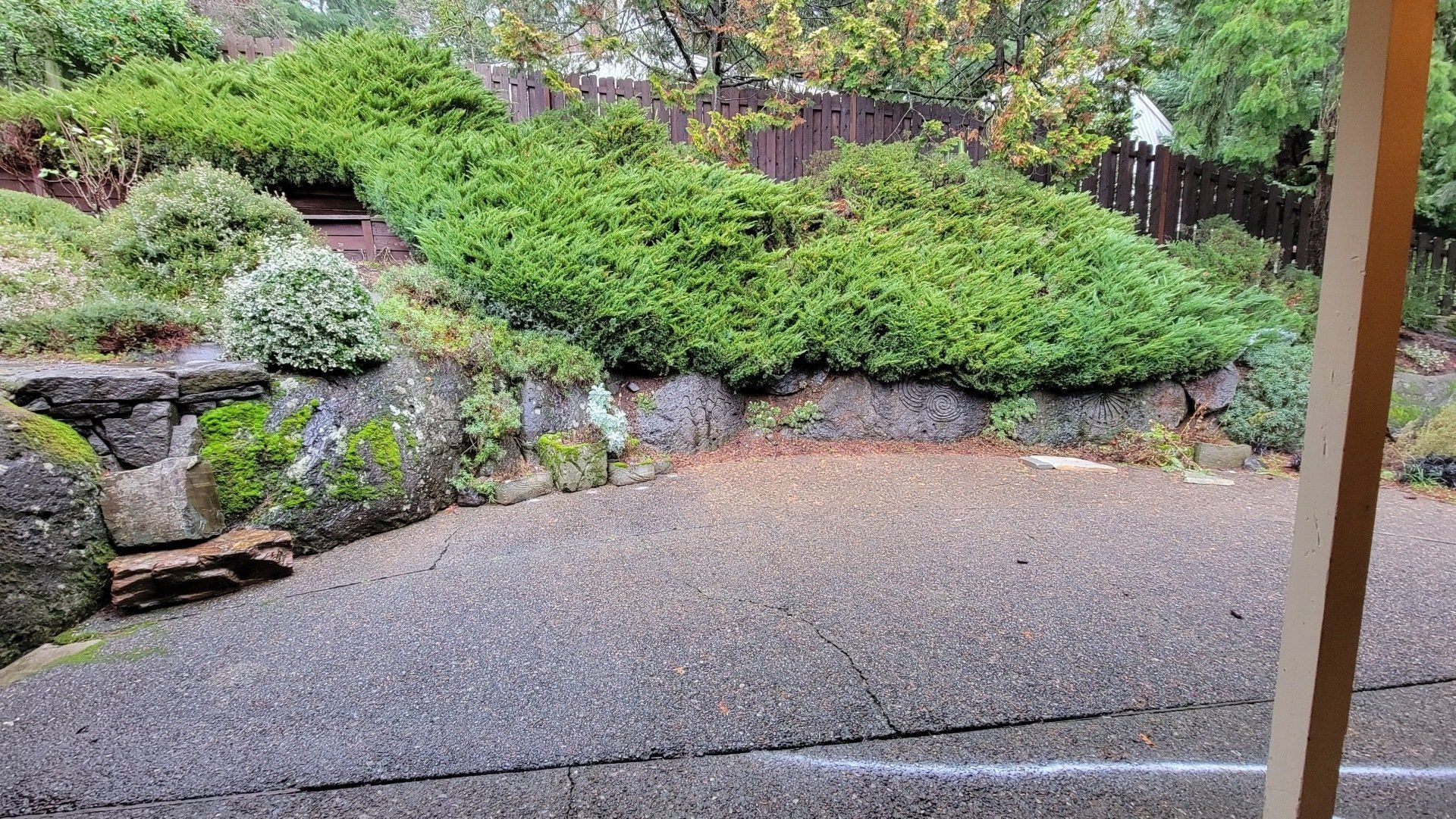 A paved patio area with a stone wall and lush green bushes. A glimpse of a fence and trees can be seen in the background.