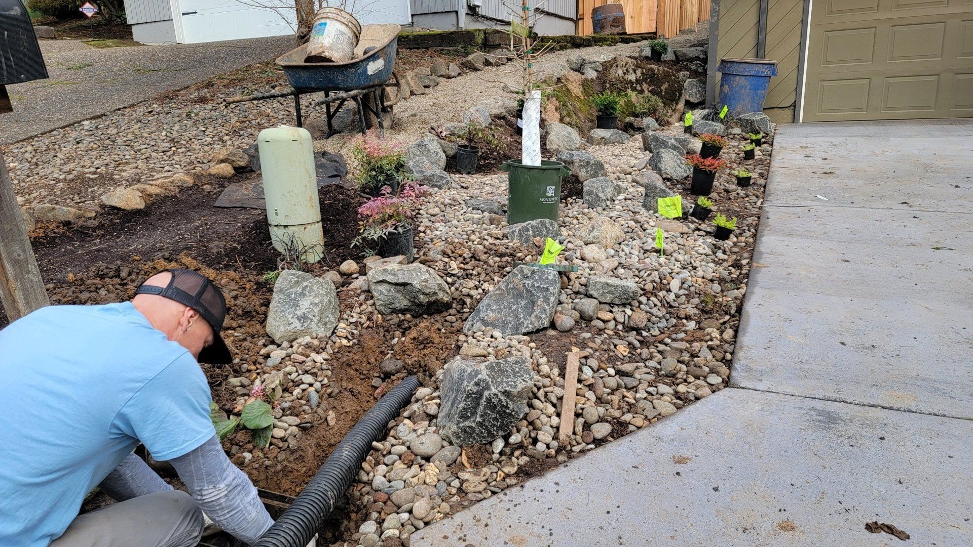 Man gardening in a rock bed with new plants, rocks, and a drainage pipe along a driveway. 