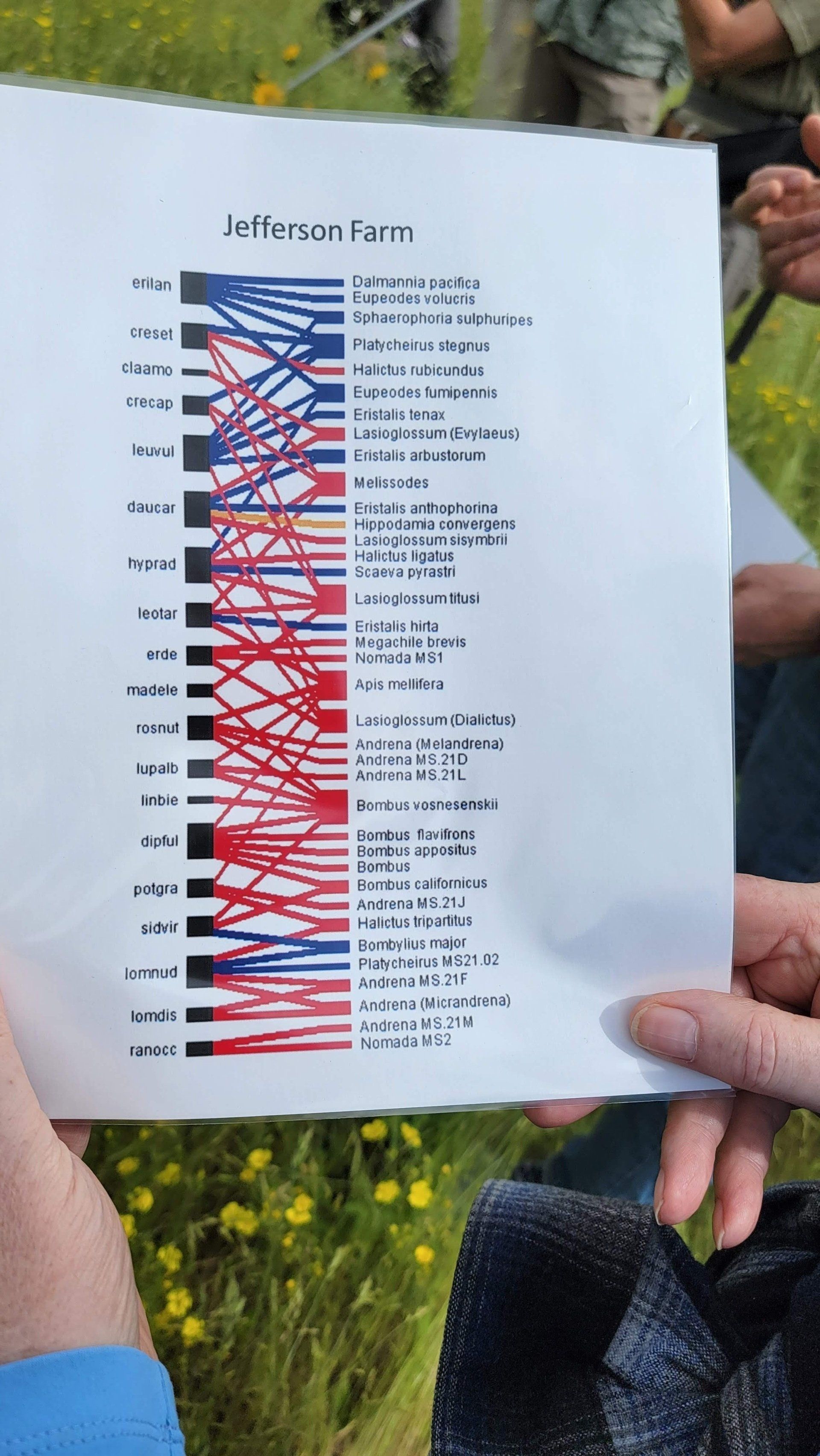 A person holds a chart labeled