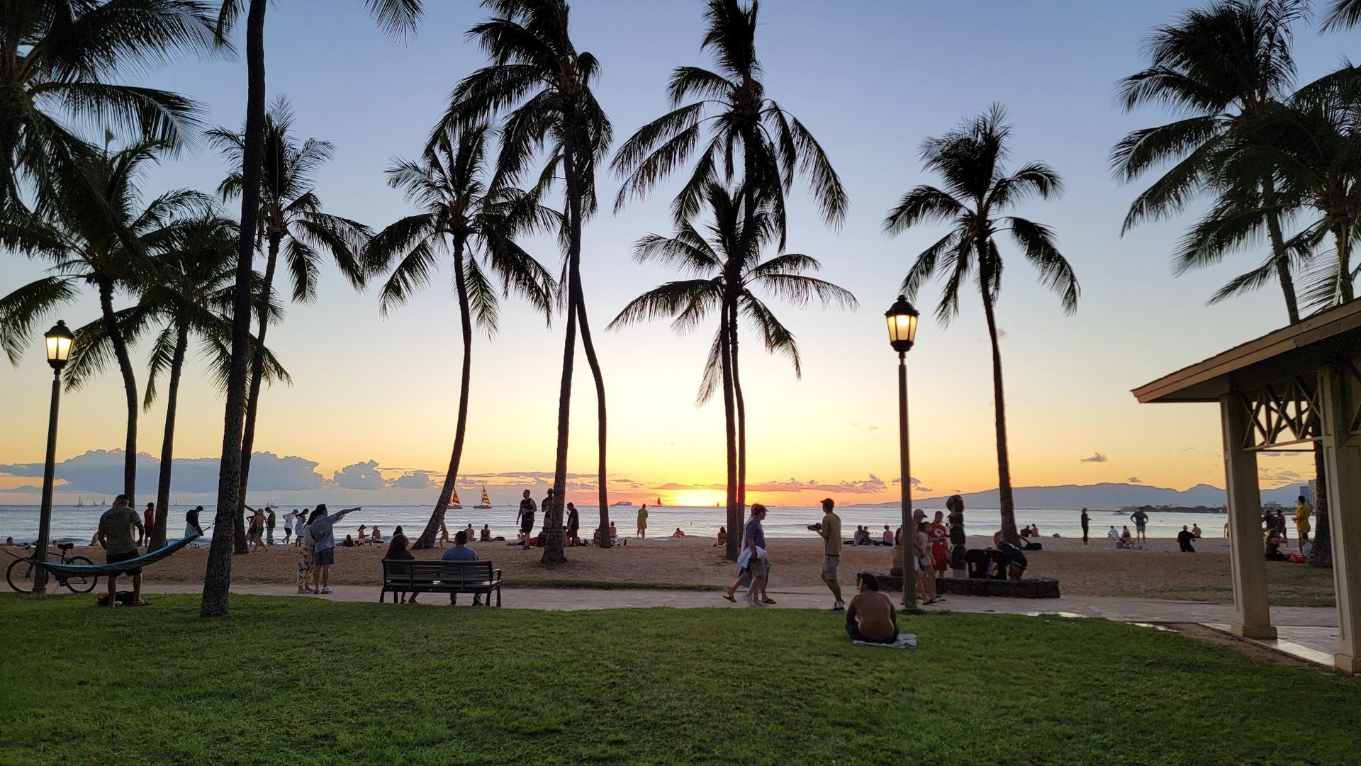 Sunset over a beach with palm trees and people. 