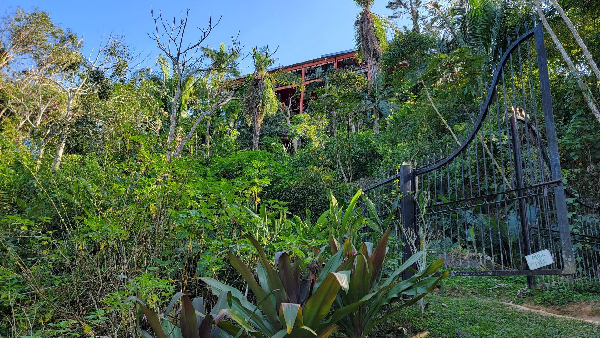 Lush greenery obscures a gated building on a hillside under a clear blue sky.