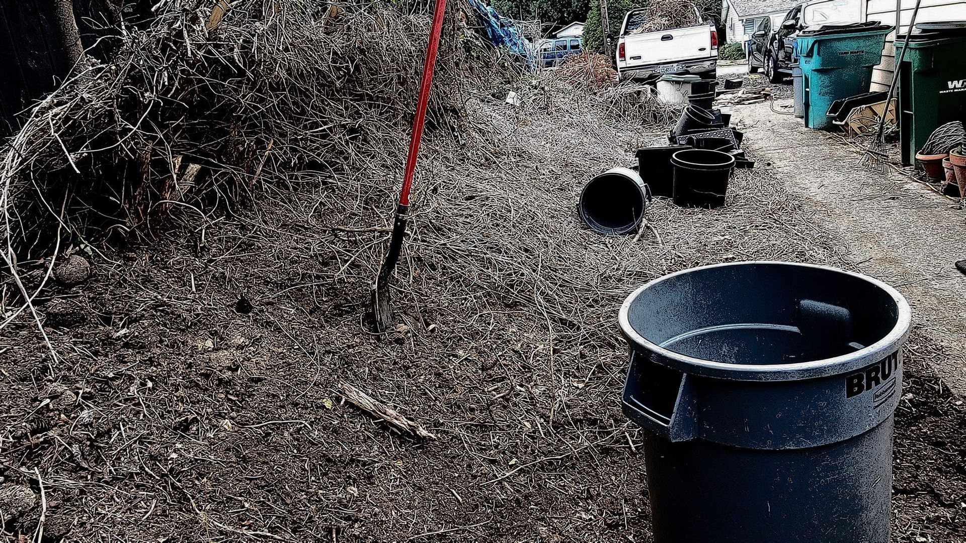 A trash can sits in a cluttered outdoor area with dried foliage.