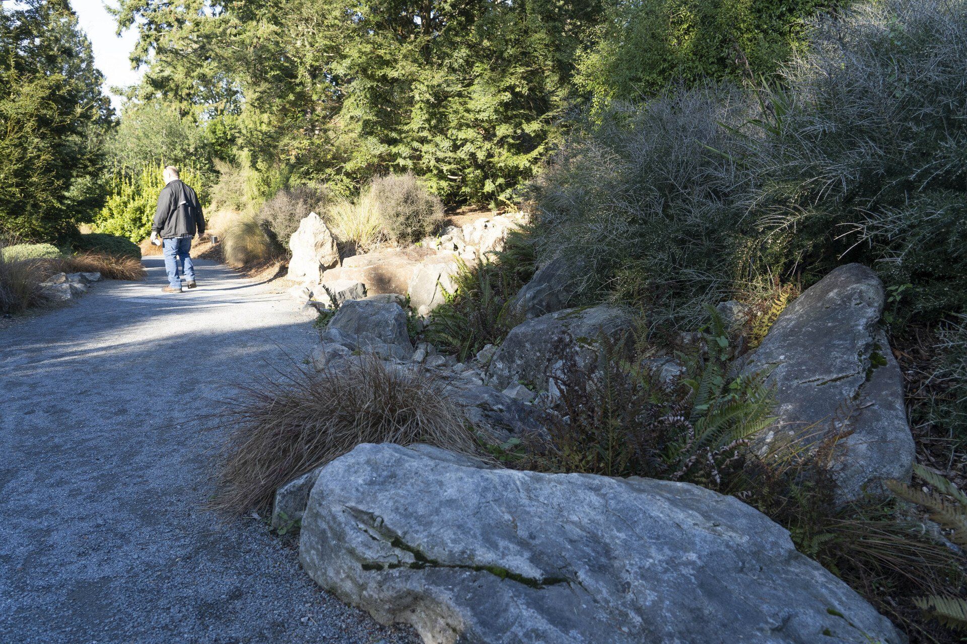 A person walks along a gravel path in a park with large rocks and greenery. 