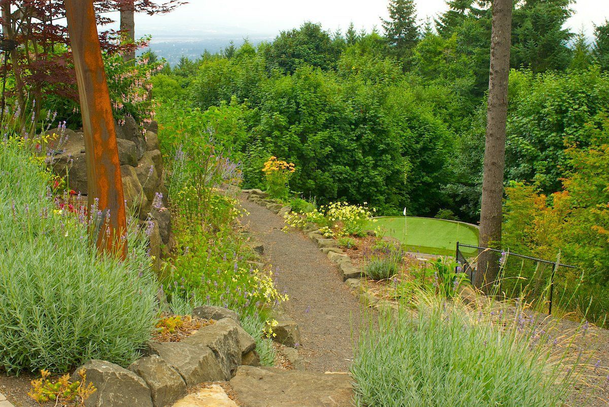 Stone path descends into a lush green forest.