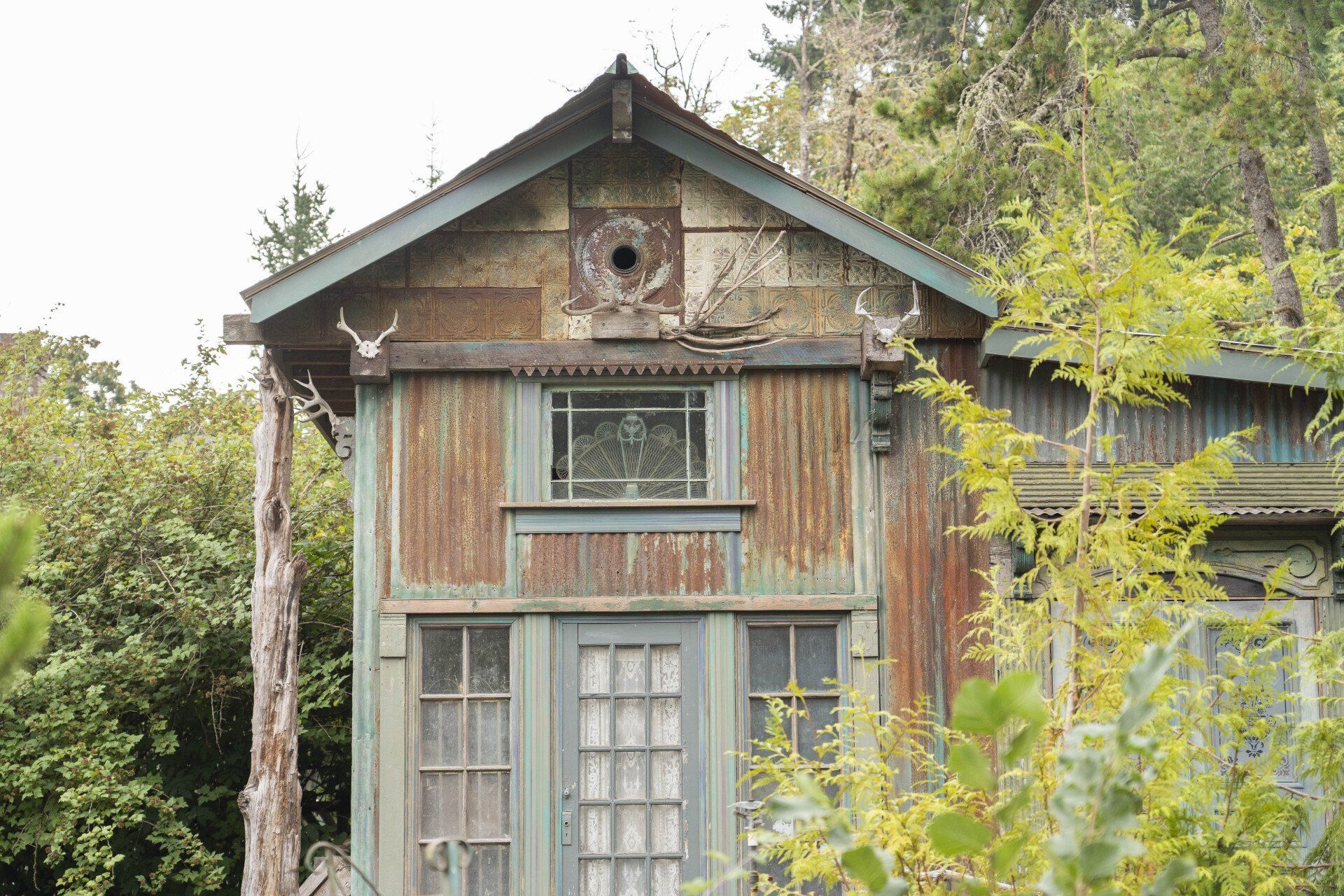 Rustic, weathered cabin with corrugated metal siding, adorned with deer antlers and surrounded by lush greenery.