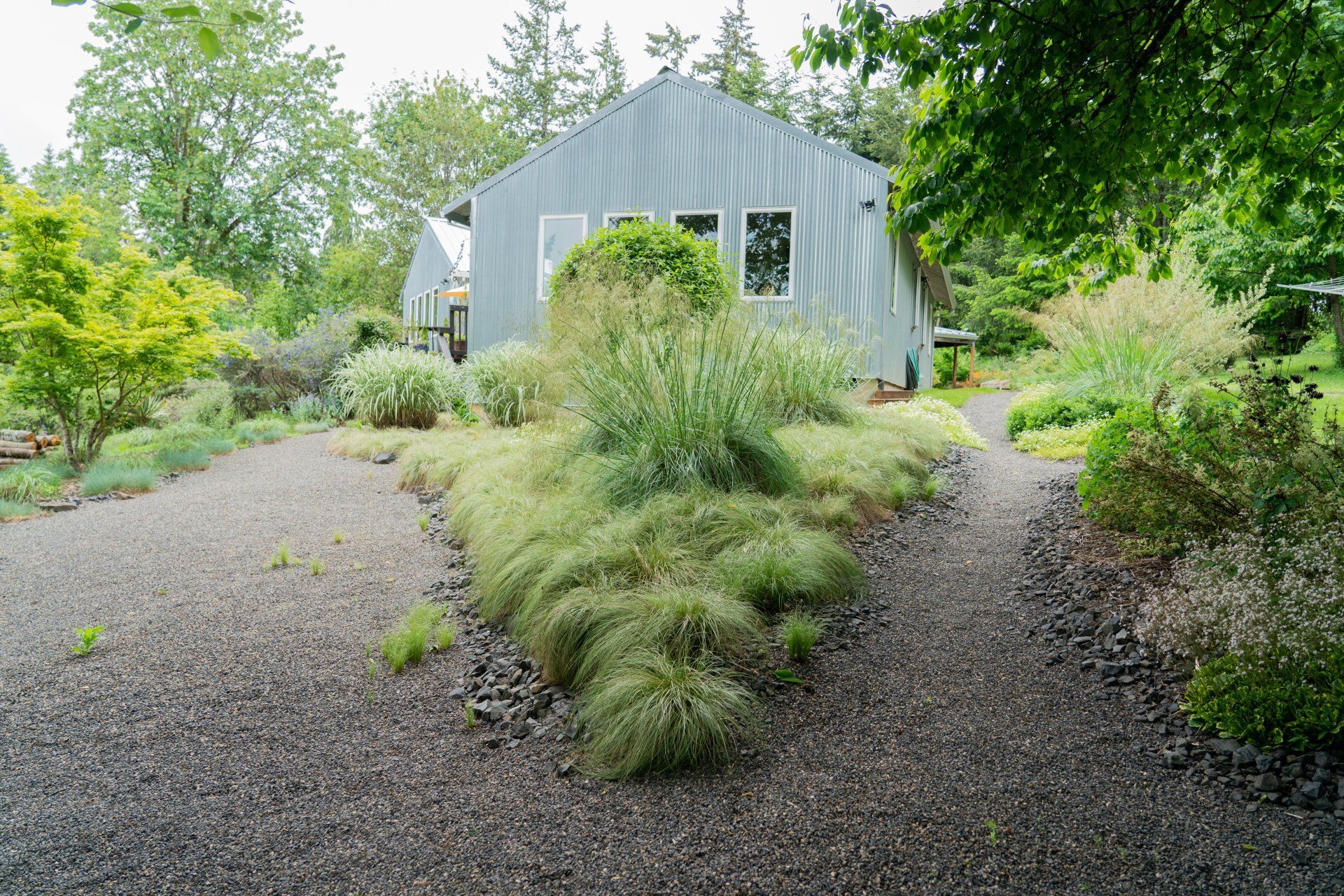 Gravel paths diverge towards a metal-roofed building, lined by green grasses and shrubs in a garden setting.