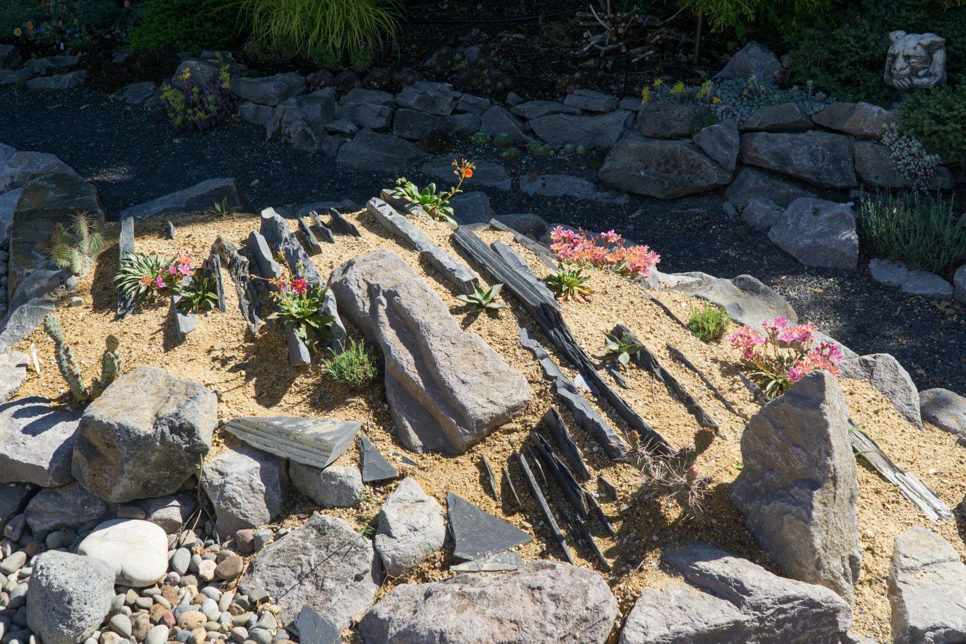 Rock garden with layered dark stones and small flowering plants.