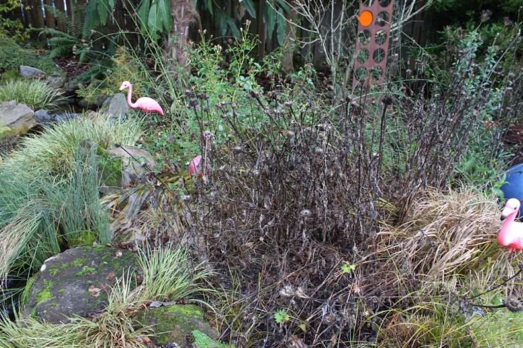 Flamingo statues in a garden setting, surrounded by lush greenery, mossy rocks, and a small stream.