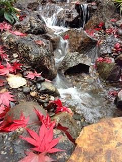 A small waterfall cascading over rocks, surrounded by red maple leaves.