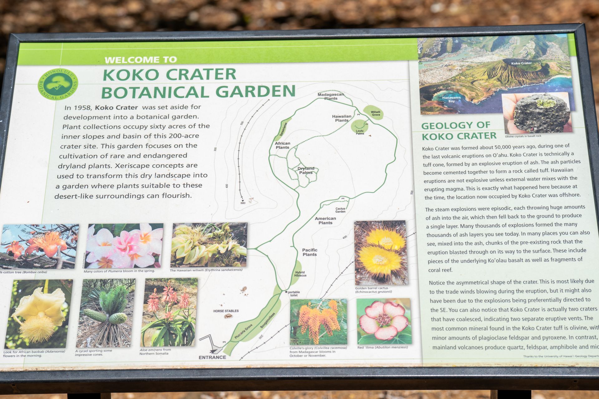 Sign at Koko Crater Botanical Garden; map of the garden with plant photos. 