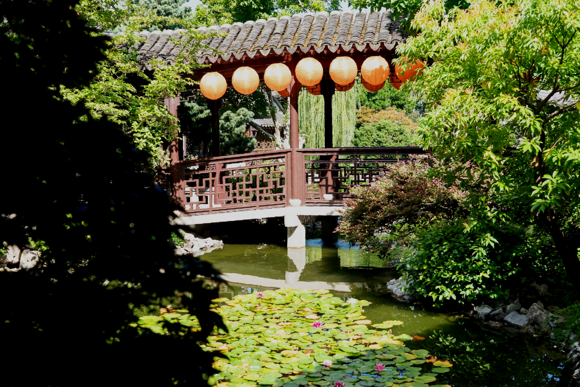 A Chinese-style wooden bridge with lanterns over a pond filled with lily pads, surrounded by trees and greenery.