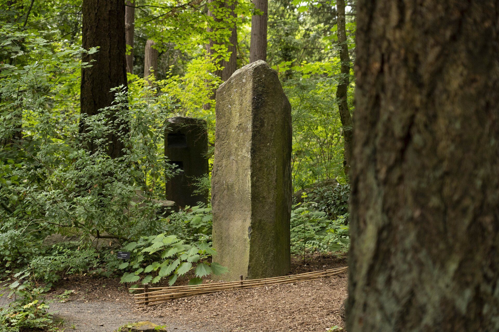 Stone obelisk in a forest clearing surrounded by trees and greenery.