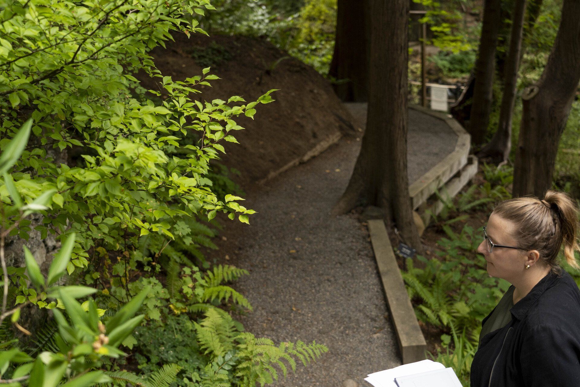 Woman in glasses near a winding gravel path through a lush, green forest.