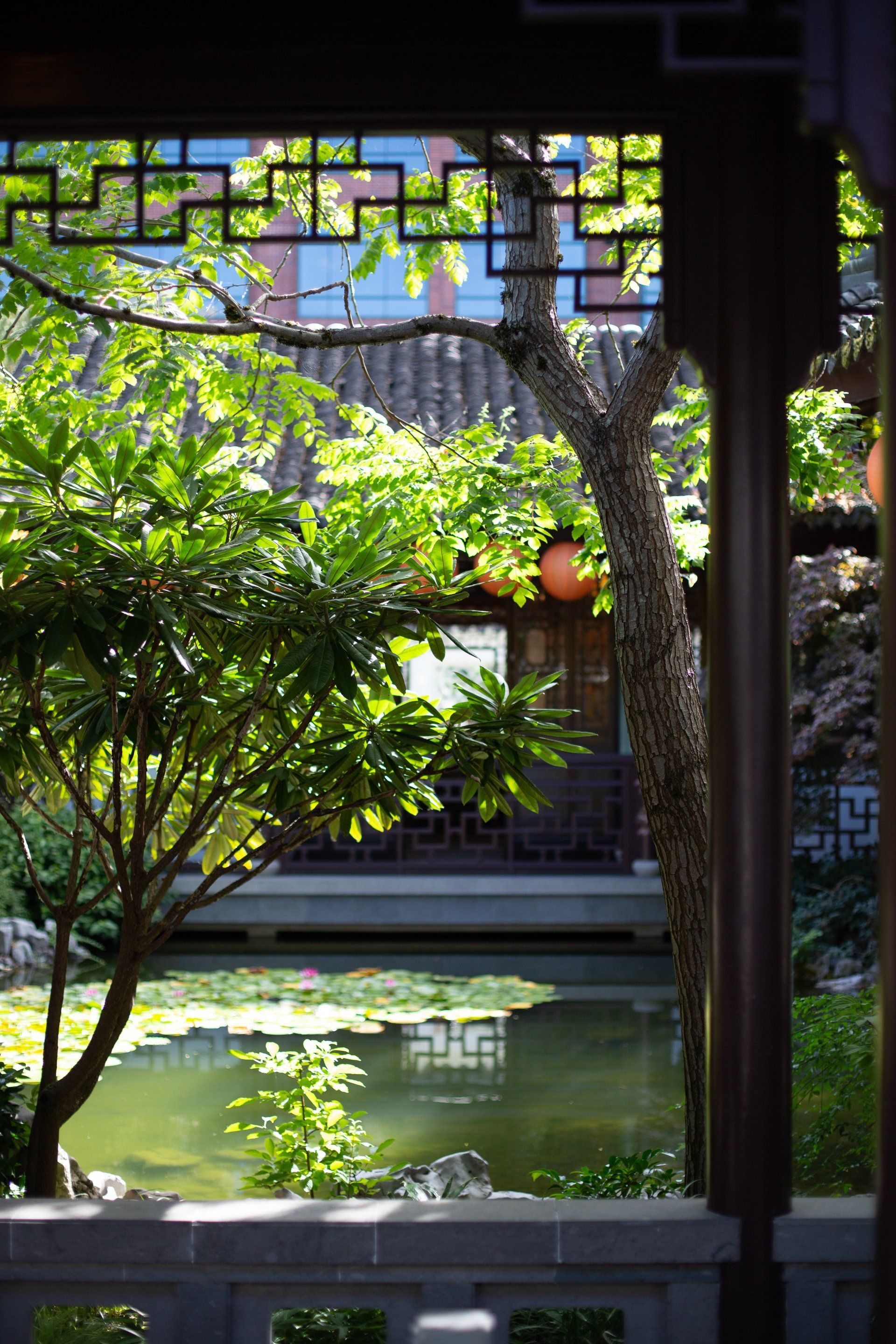 View of a traditional Chinese garden pond and building, framed by ornate wooden architecture. 