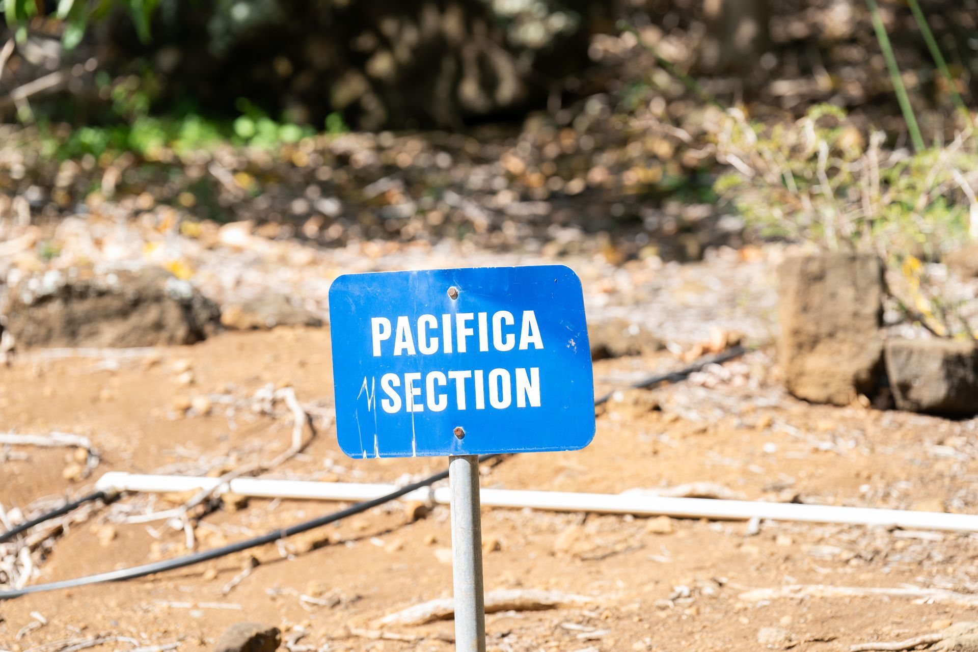 A blue sign that reads 