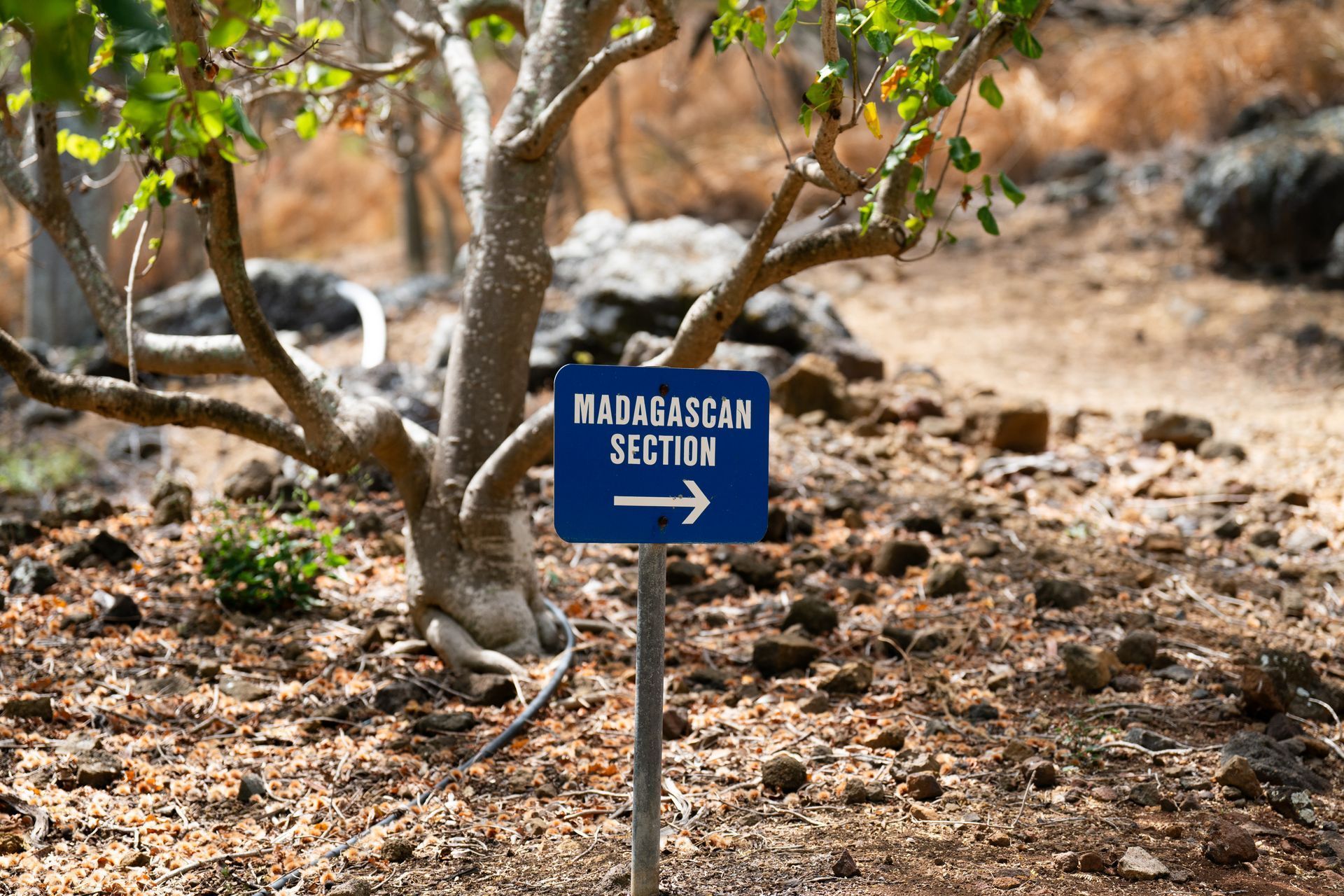 Sign pointing to the 
