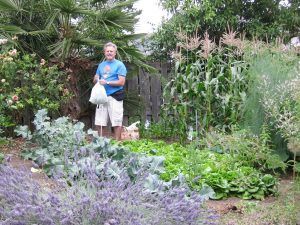 Man in a garden holding a bag, surrounded by various plants and vegetables. 