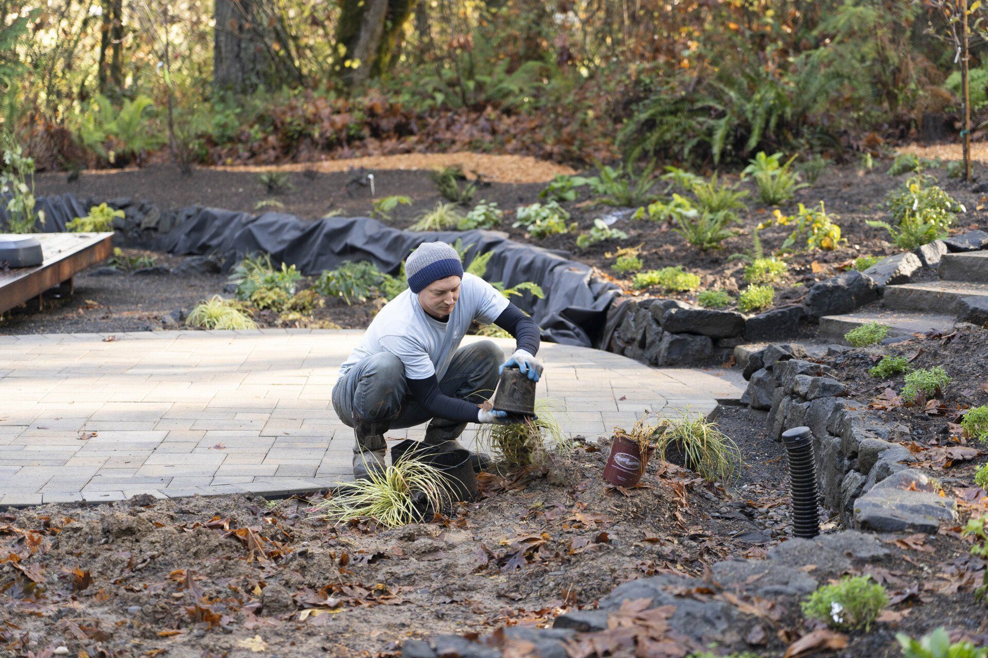 A man planting flowers in a garden.