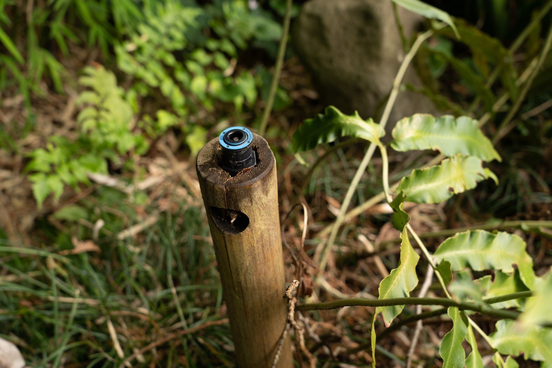 A close-up of a wooden post with a blue sprinkler head at the top, surrounded by greenery.
