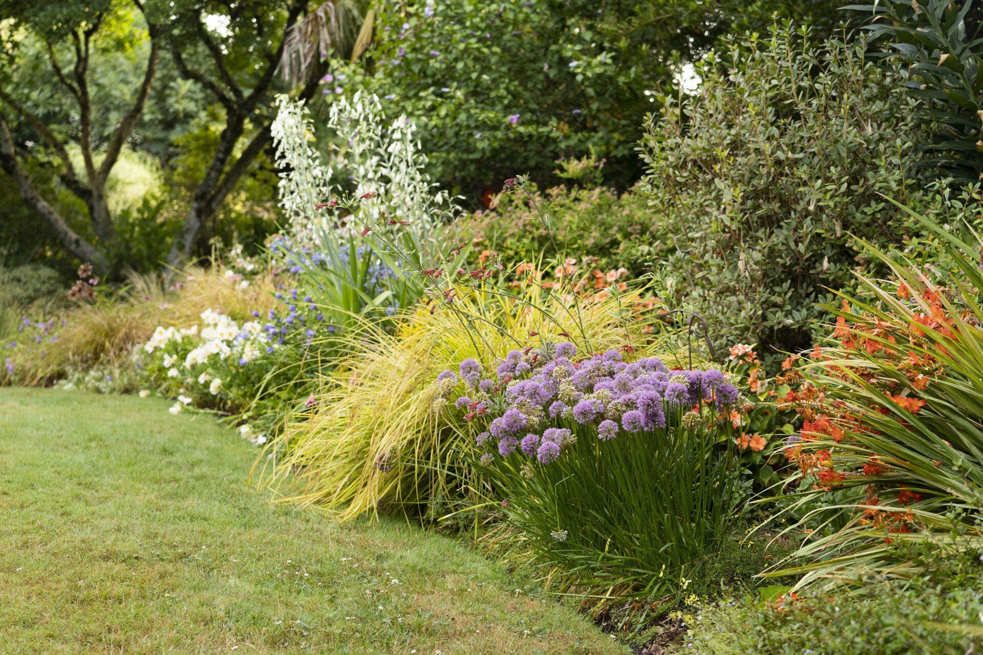 Lush garden border with yellow and purple flowers, alongside green grass and various shrubs and trees.