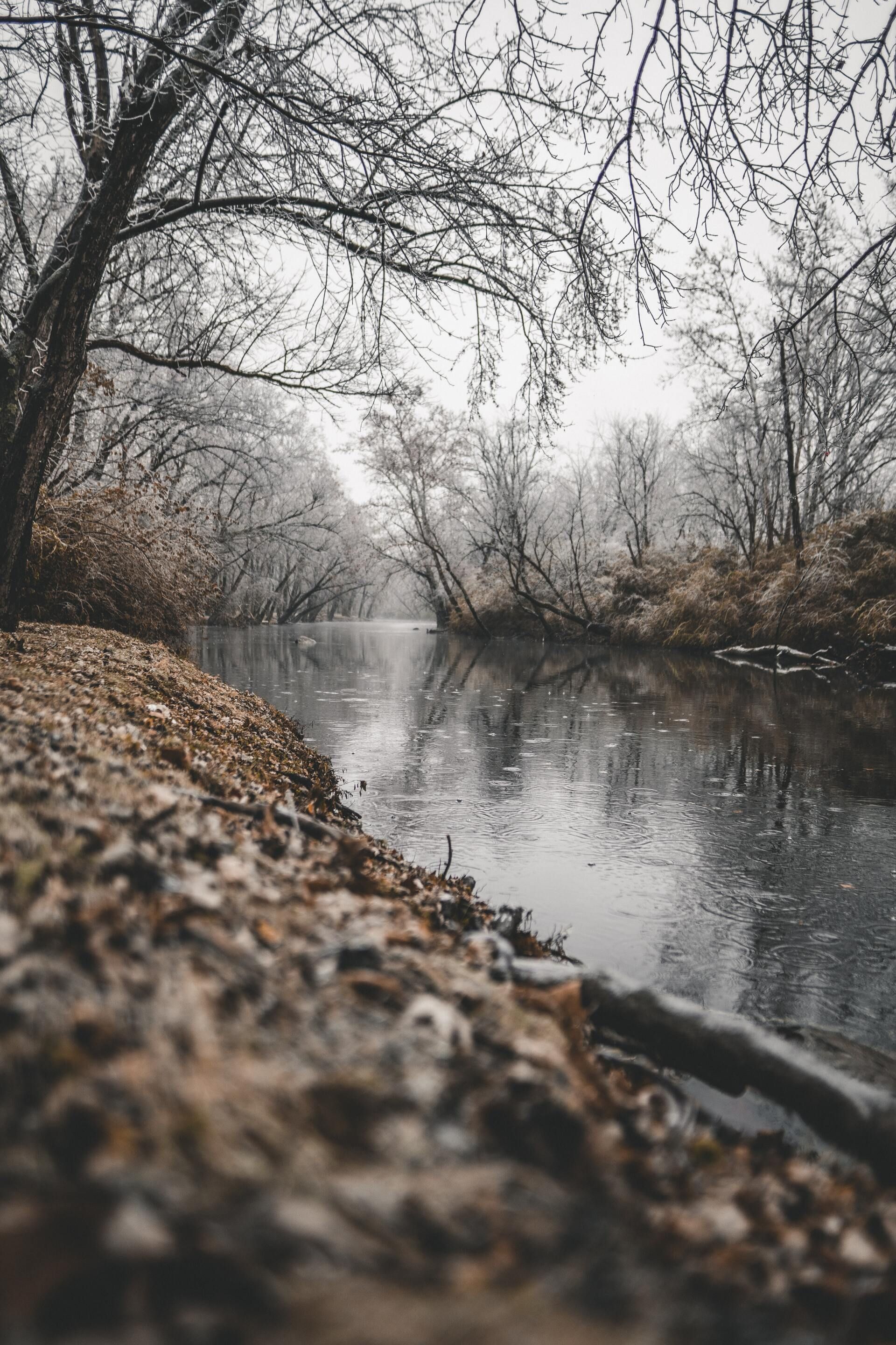 A calm river winds through a forest in winter.