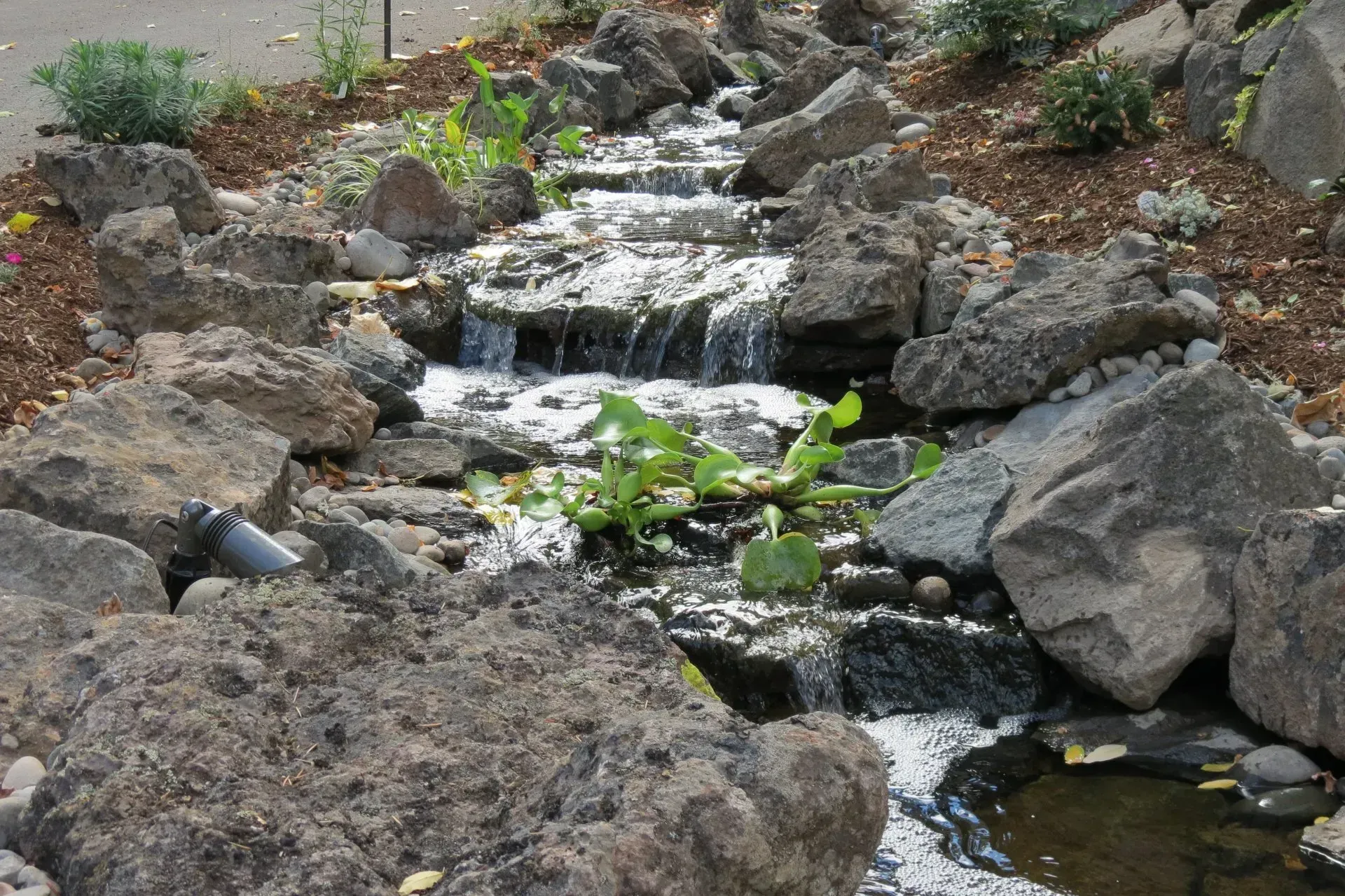 A small, rocky stream with flowing water. Large grey rocks line the sides, and some green plants are growing in the water.