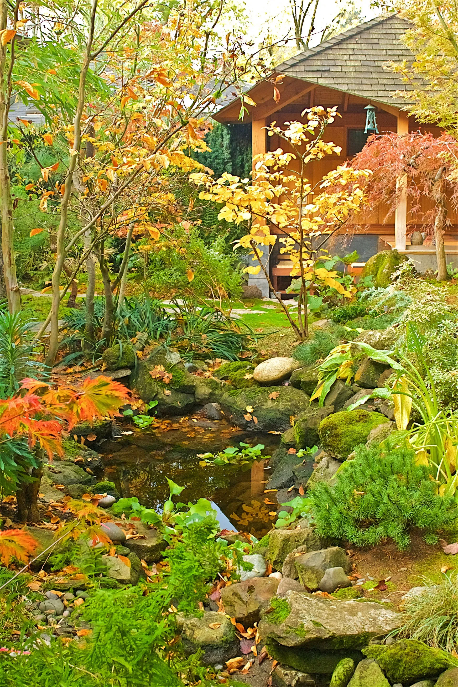 Japanese garden scene with a pond, wooden building, and colorful fall foliage.