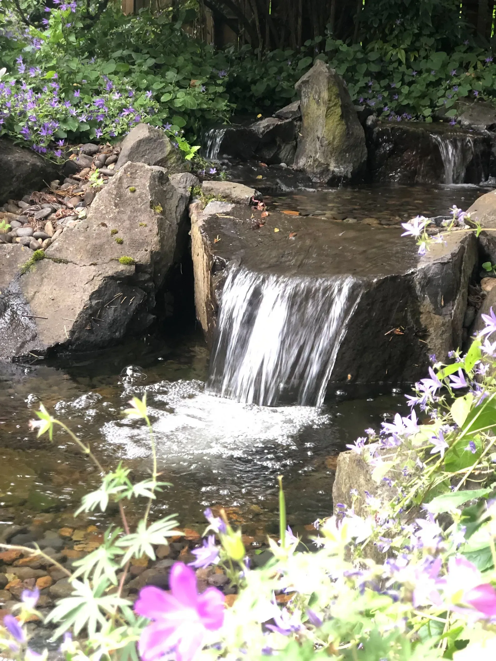 Small waterfall cascading over dark rocks into a pool surrounded by purple flowers and greenery.