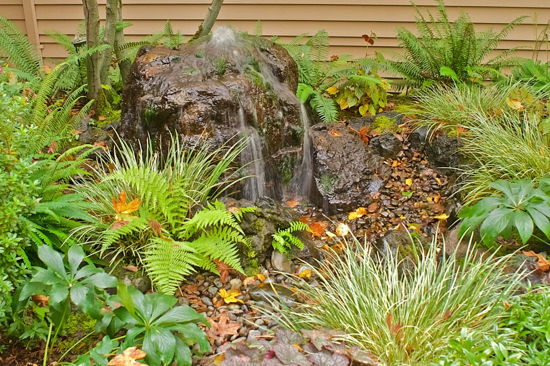 Small waterfall cascading over dark rocks, surrounded by lush green plants and foliage.
