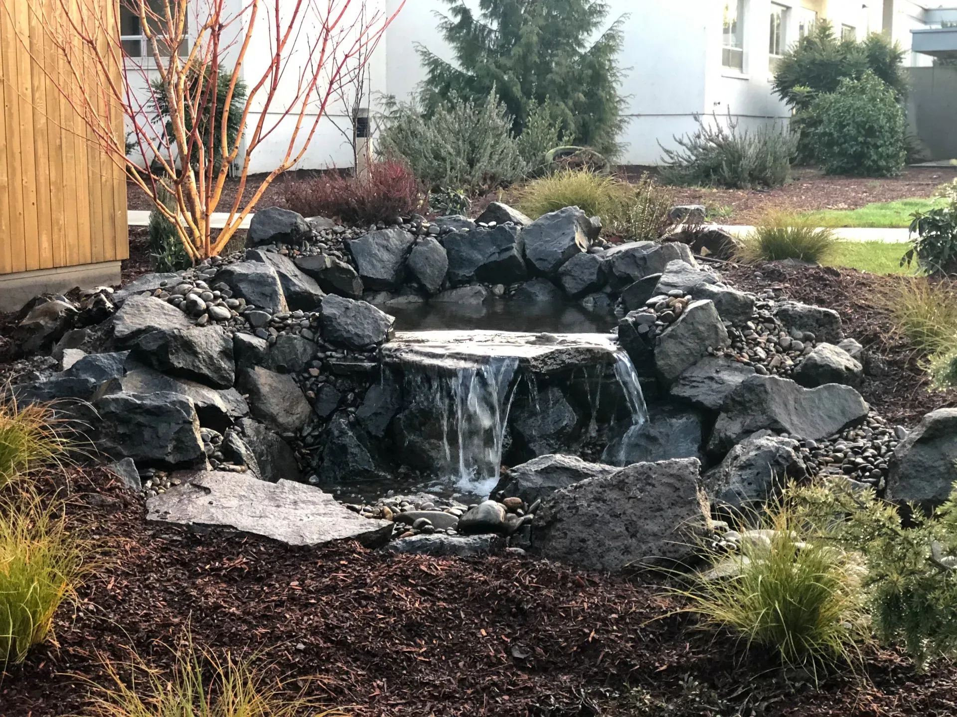 Small rock waterfall feature in a garden, water cascading into a pool surrounded by dark rocks and mulch.