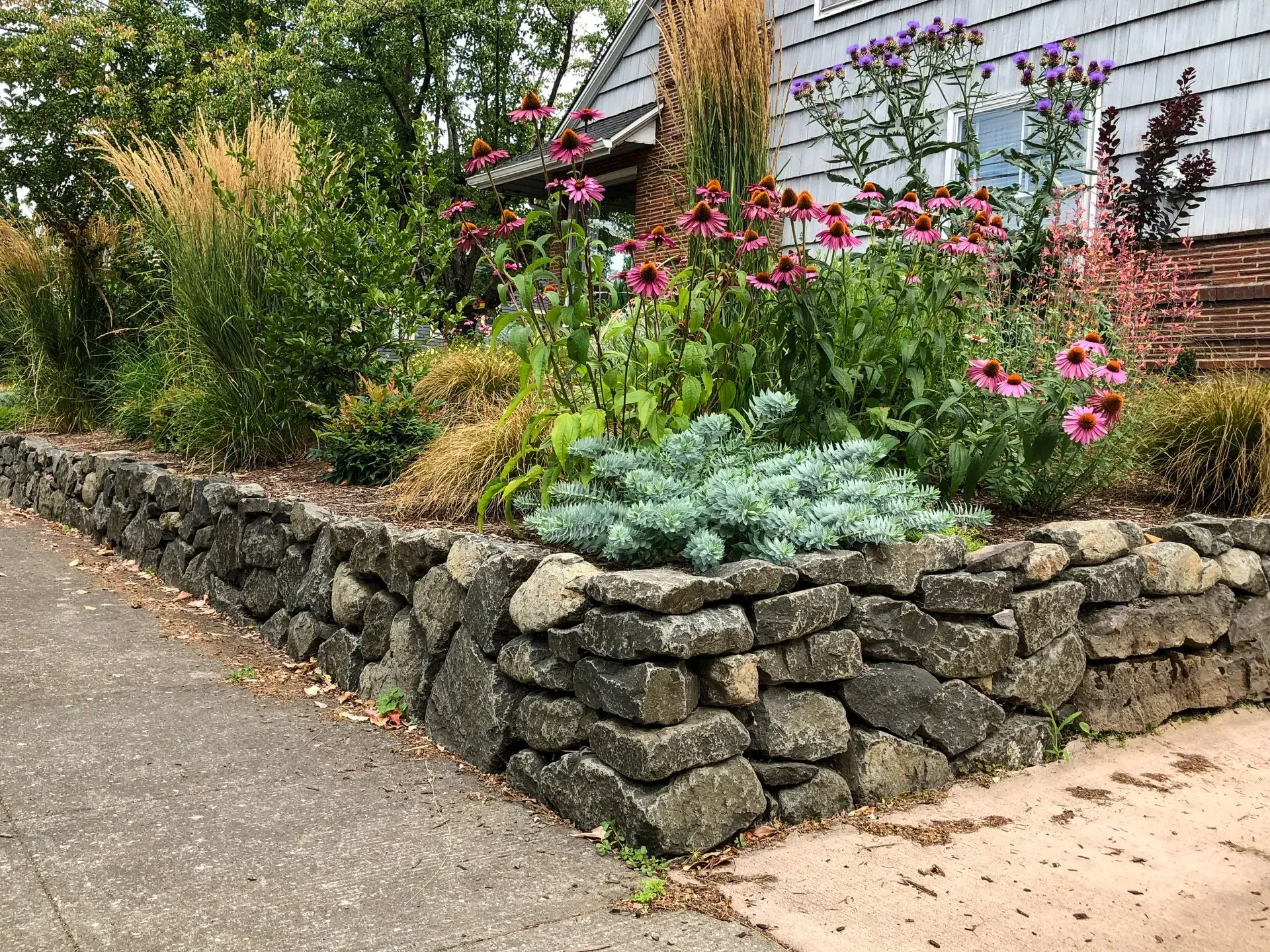 Stone retaining wall with a vibrant garden bed featuring purple coneflowers and ornamental grasses in front of a house.