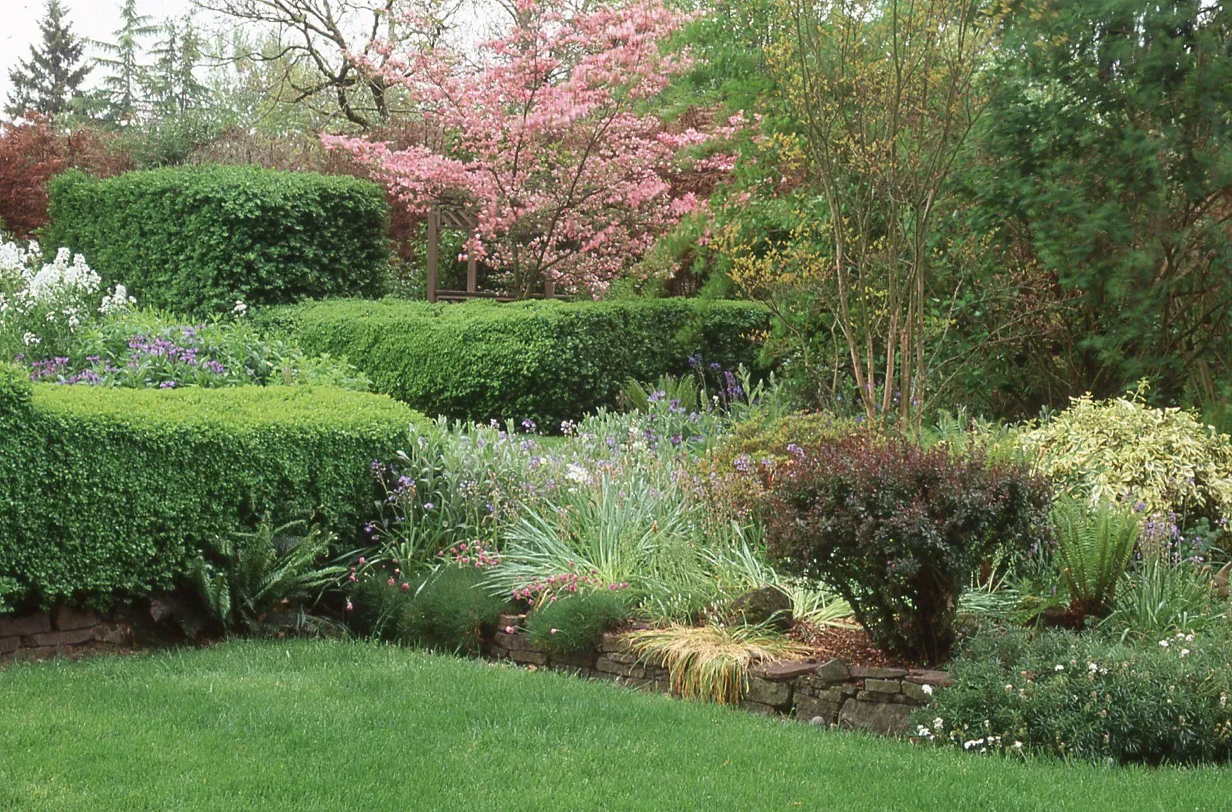 A tiered garden with neatly trimmed green hedges, blooming pink trees, and a vibrant green lawn.