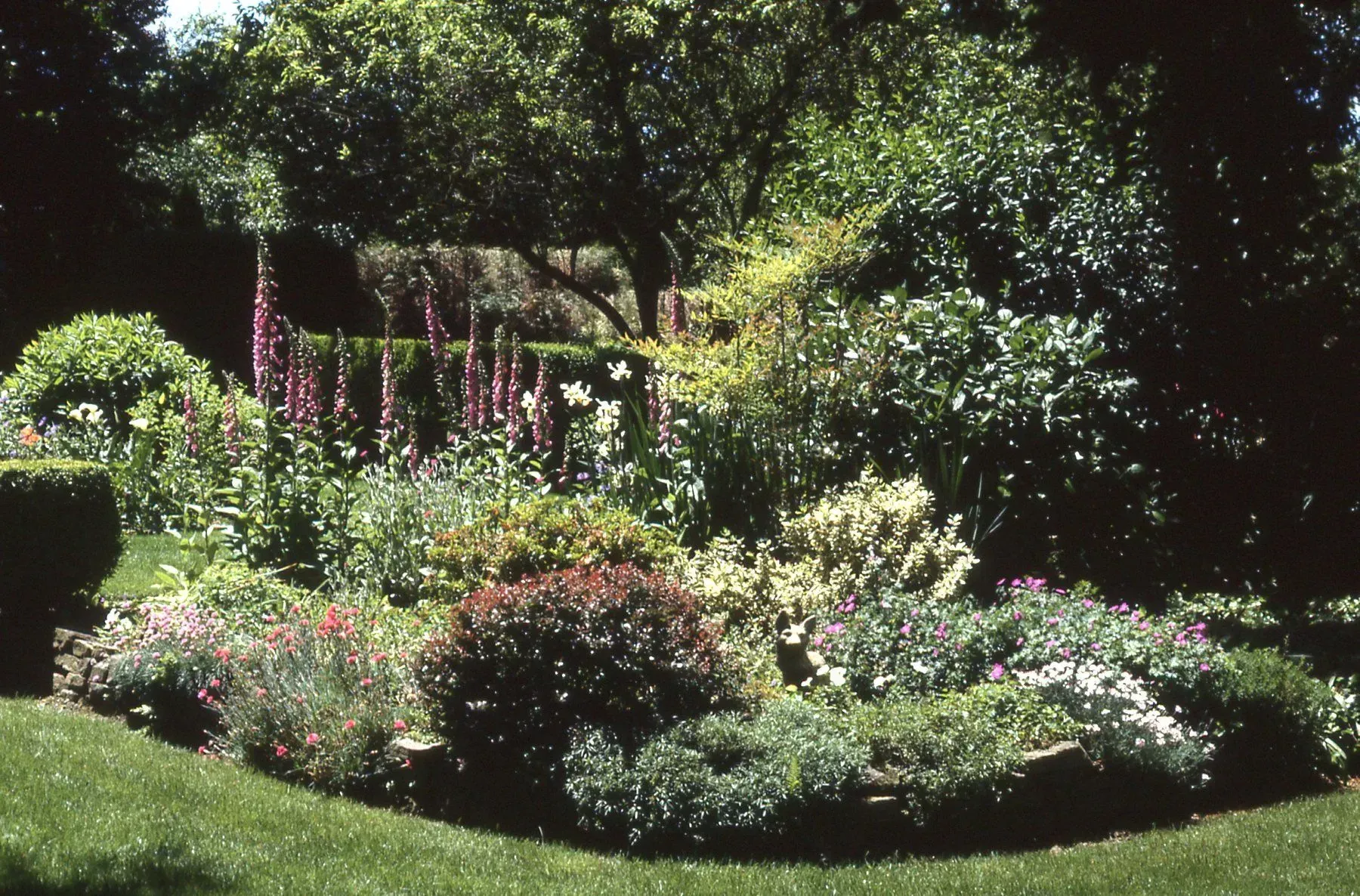 A vibrant garden bed overflowing with diverse flowers and foliage, set against a backdrop of trees under a bright sky.