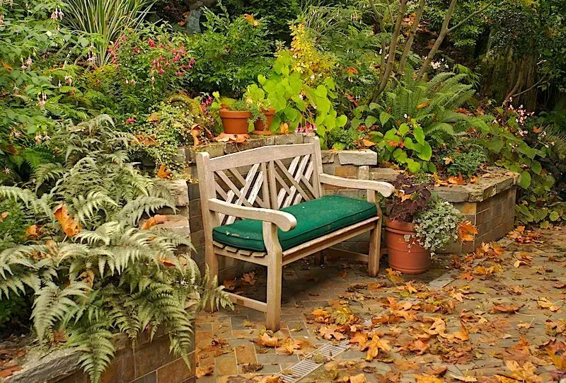 Wooden bench with green cushion in a lush garden surrounded by plants and fallen leaves.